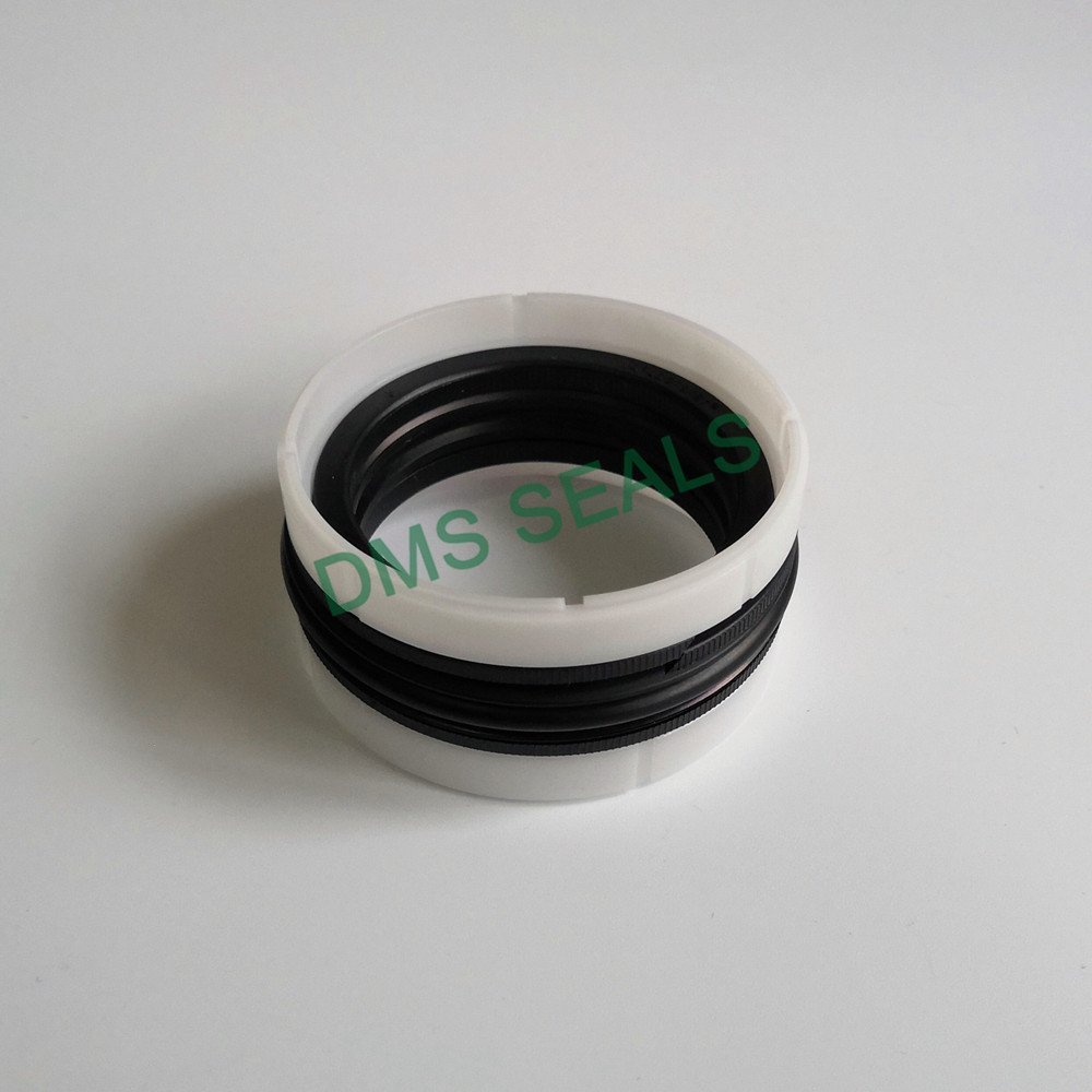 DMS Seal Manufacturer DPM - PTFE Hydraulic Piston Seal with NBR/FKM O-Ring Piston Seals image4