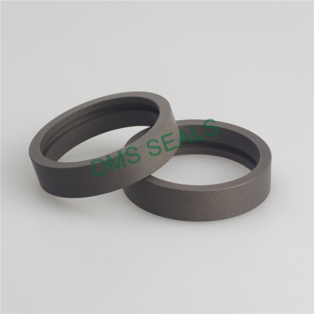 DMS Seal Manufacturer DFA - PTFE Hydraulic Bearing Element with NBR/FKM O-Ring Bearing Element image2