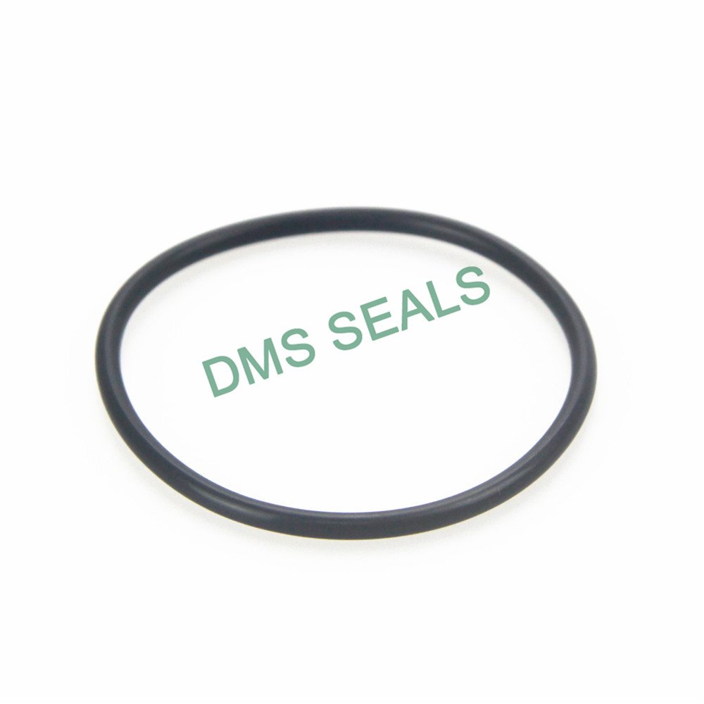 DMS Seal Manufacturer NBR Nitrile rubber Buna-N o ring O-RINGS image6