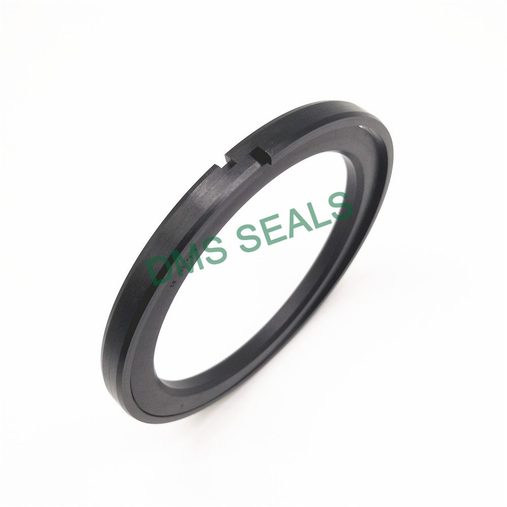 Professional Hydraulic Piston Seals Ptfe Hydraulic Piston Seals