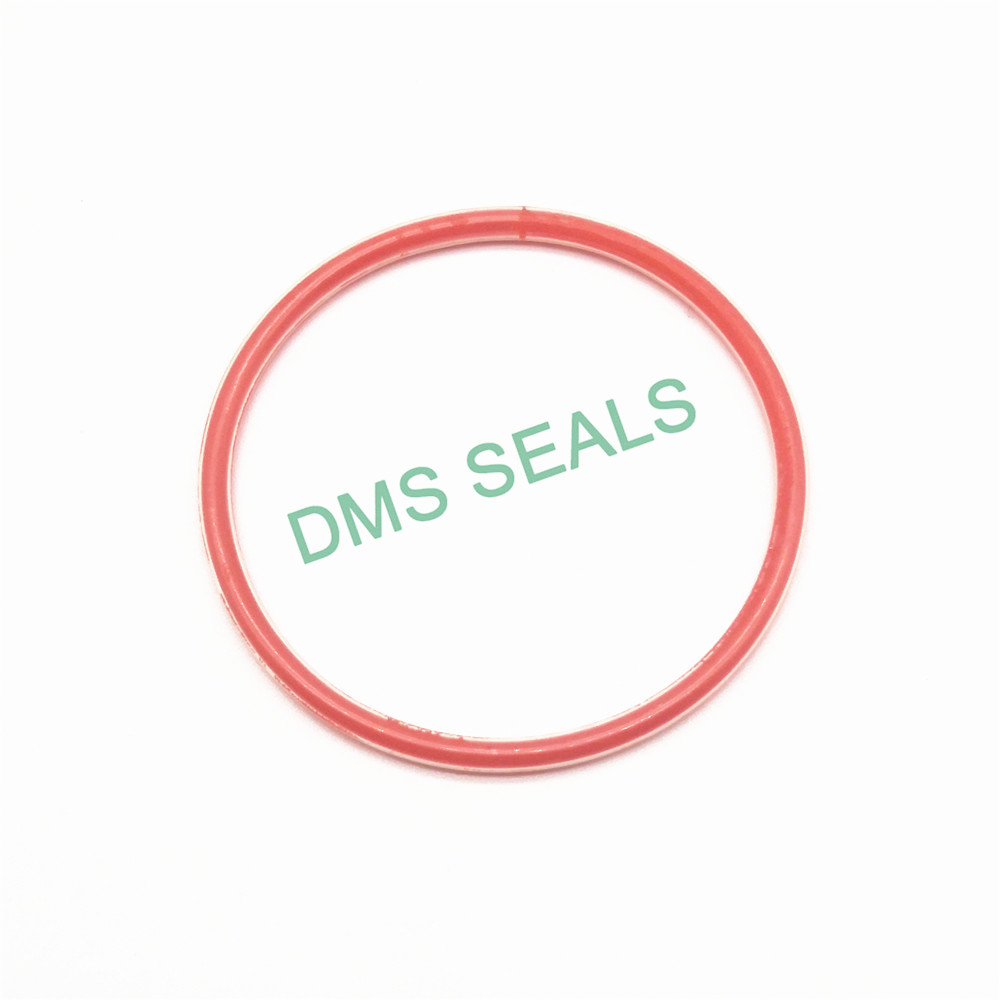 DMS Seal Manufacturer PTFE encapsulated silicone O-Rings O-RINGS image3