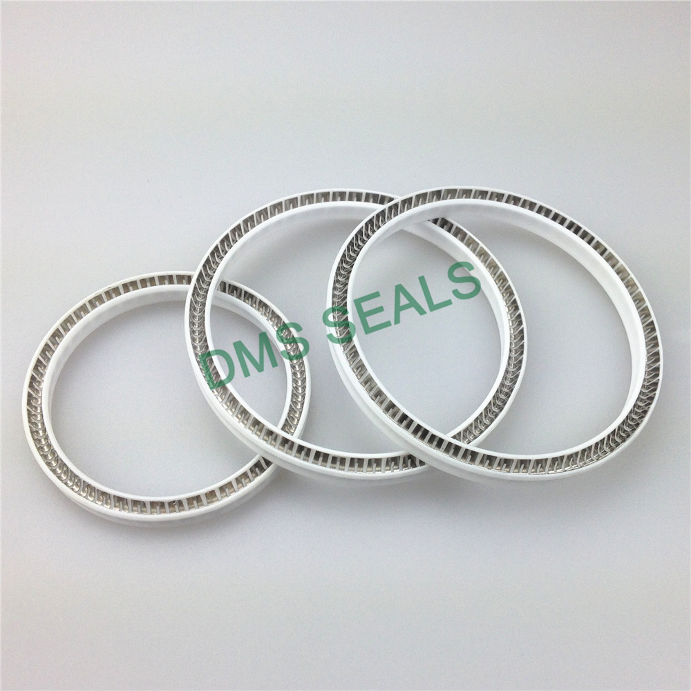 Virgin Ptfe Fda Food And Medicine Industry Spring Energized Seal